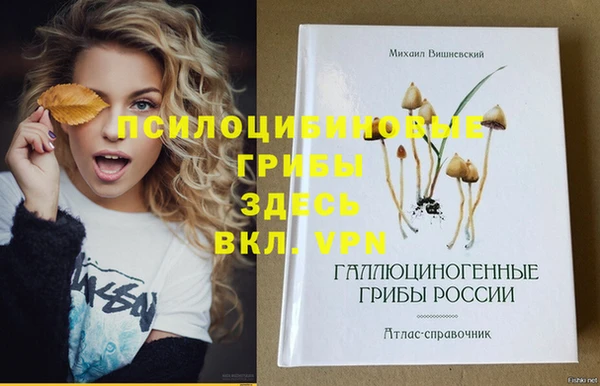 круглые Нефтекумск