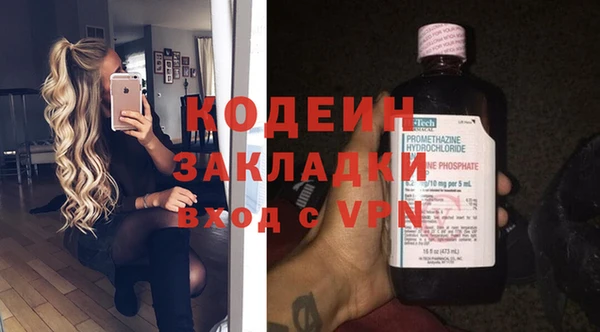 шишки Ельня