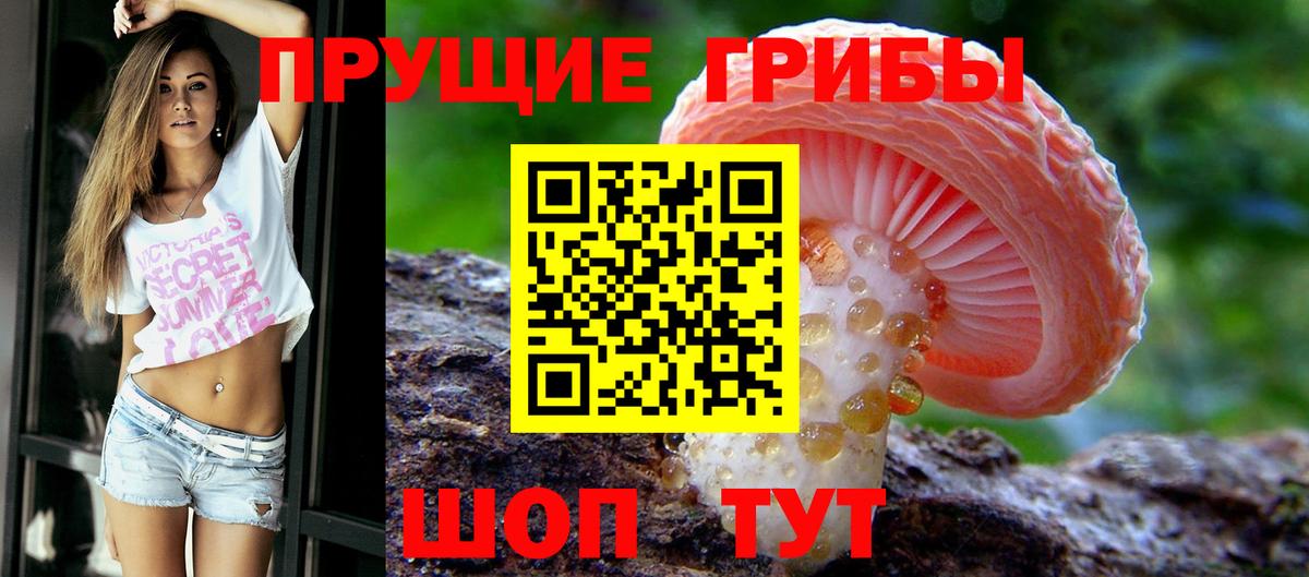 Псилоцибиновые грибы Psilocybine cubensis  Галлюциногенные грибы Cubensis  Алейск  Вход с VPN 